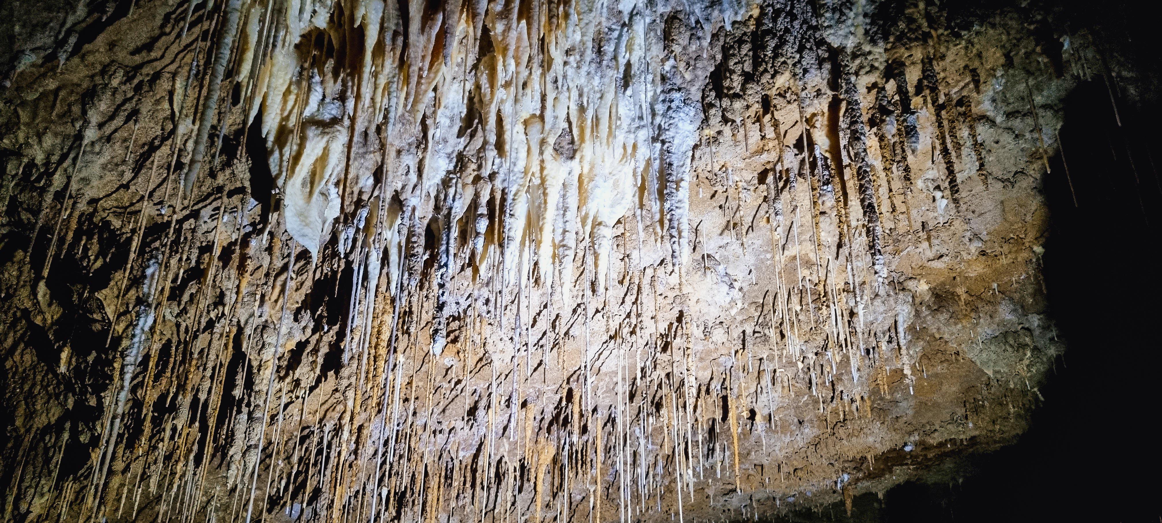 Newdegate Cave Tour
